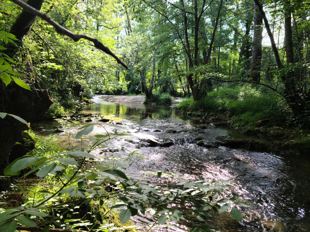 Vente Terrain Lot de 7 parcelles en zone naturelle Labastide-du-vert