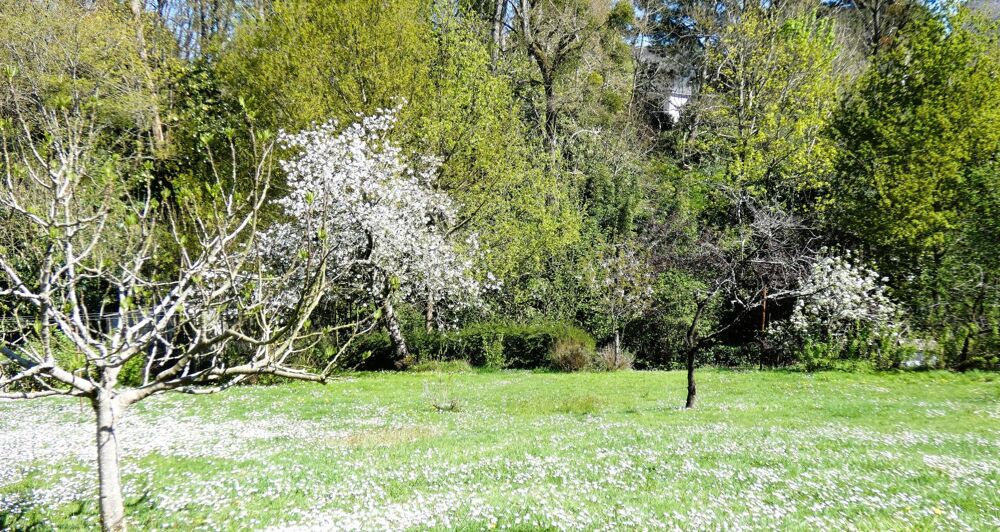 Vente Maison ORVAULT - UN VERITABLE HAVRE DE PAIX .. A LA VILLE COMME A LA CAMPAGNE Orvault