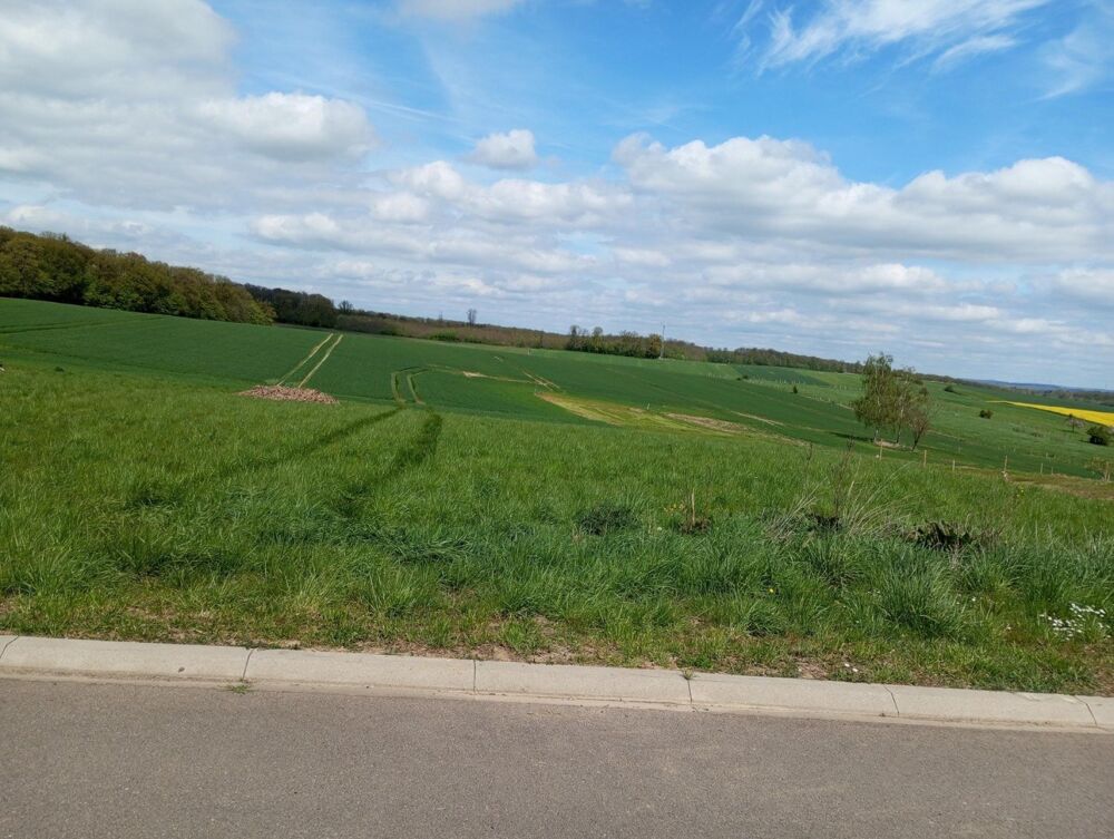 Vente Terrain Prêt à construire votre rêve? Kirviller