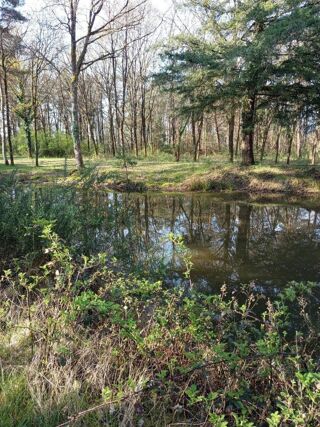  Terrain à vendre 5081 m²