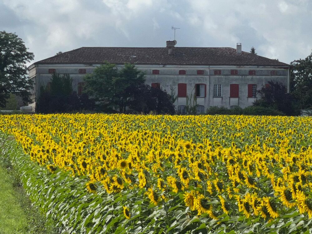 à vendre  Propriété/château Castelsarrasin (82100)