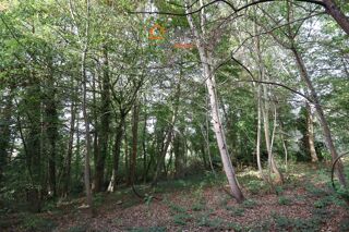 Vente Maison ENVIRONNEMENT PRIVILÉGIÉ – BEAU POTENTIEL Houlbec-cocherel