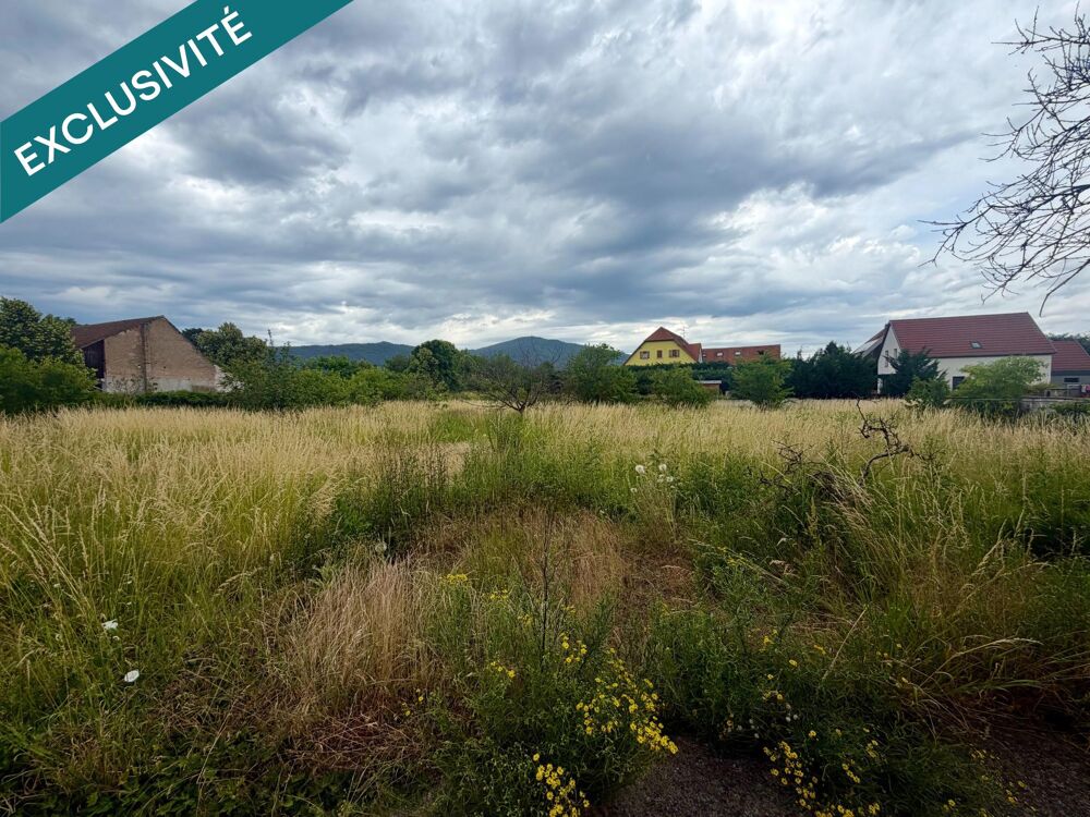 Vente Terrain TERRAIN CONSTRUCTIBLE Scherwiller