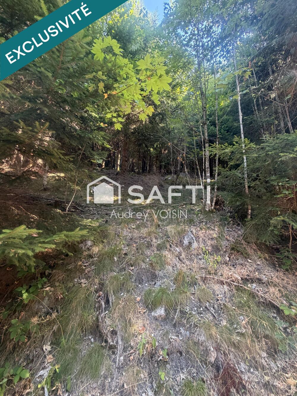 Vente Terrain EN EXCLUSIVITE UNE BELLE FORÊT DE PLUS DE 3 HECTARES Le menil