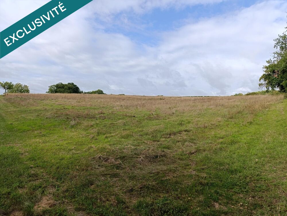 Vente Terrain 1ha 7458 d'un seul tenant Chinon