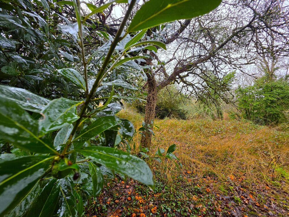 Vente Maison Maison de bourg r�nov�e, ses 4 chambres, son garage et son terrain La fleche