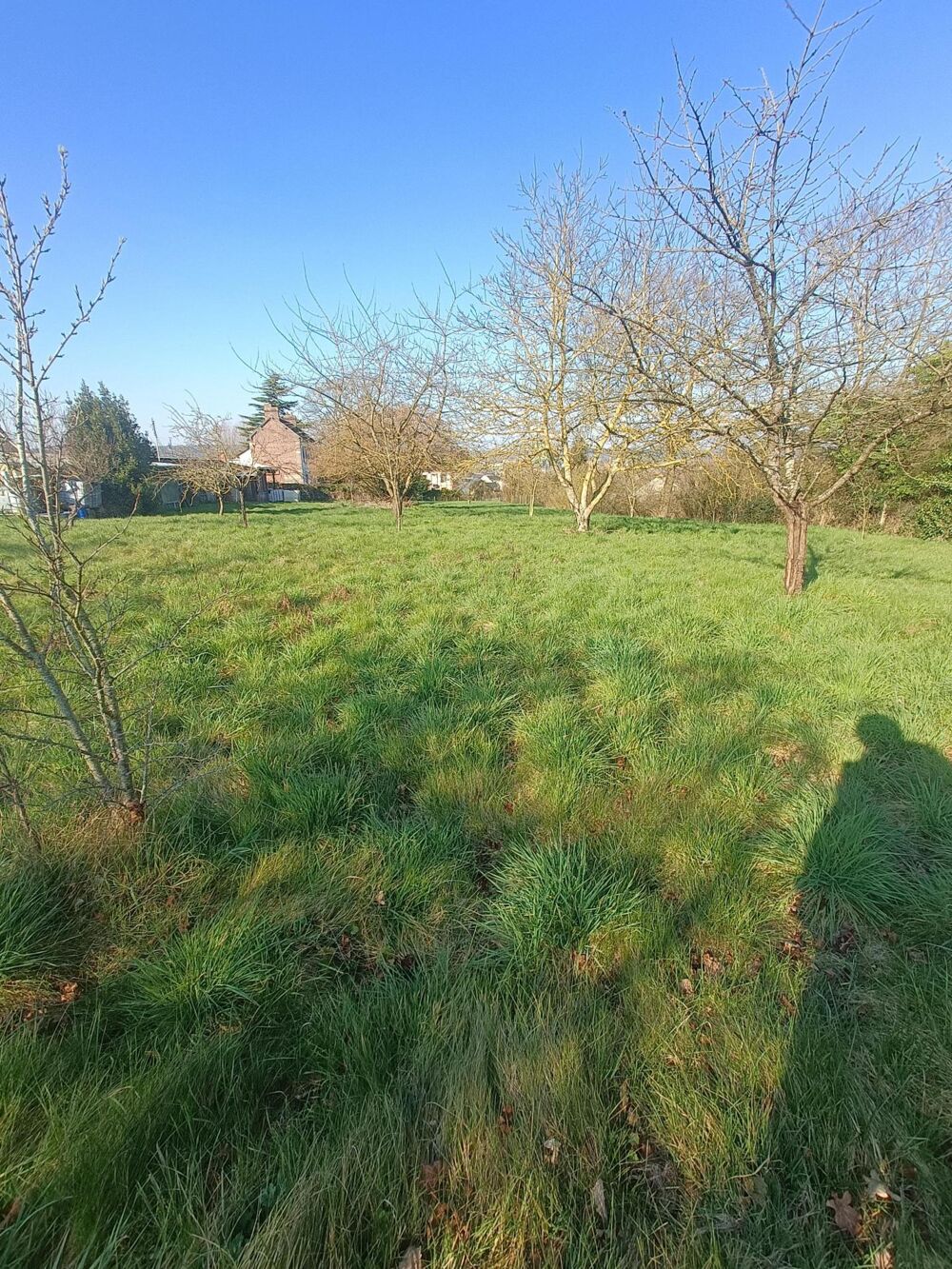 Vente Terrain TERRAIN A BATIR, RARE A LA VENTE. Les damps