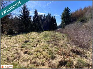  Terrain � vendre 15821 m� Le tholy
