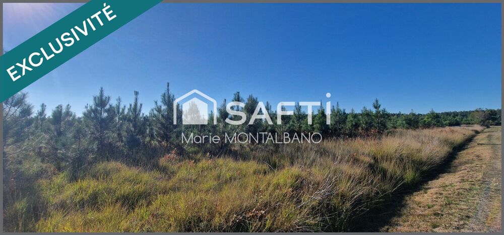 Vente Terrain Grand terrain forestier 6h à Biganos Biganos