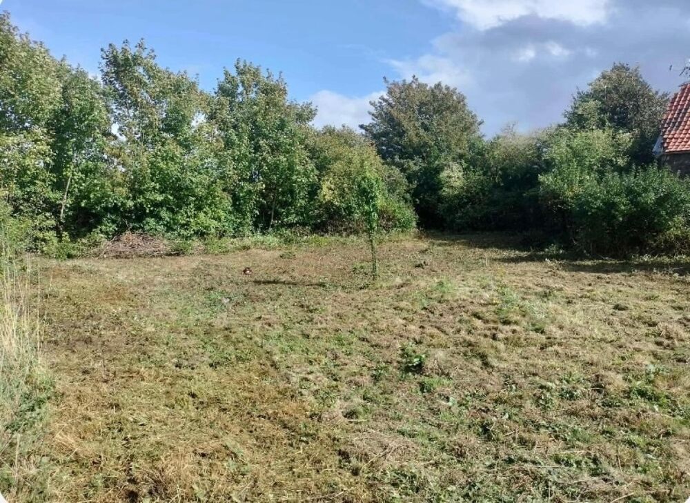 Vente Terrain Superbe terrain constructible de plus de 800 m2 Landrethun-les-ardres