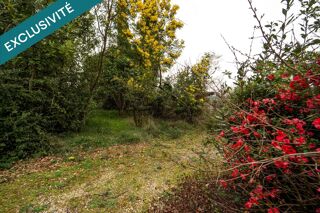 Vente Maison Un emplacement stratégique et un potentiel exceptionnel au cœur d'un secteur prisé d'Albi. Albi