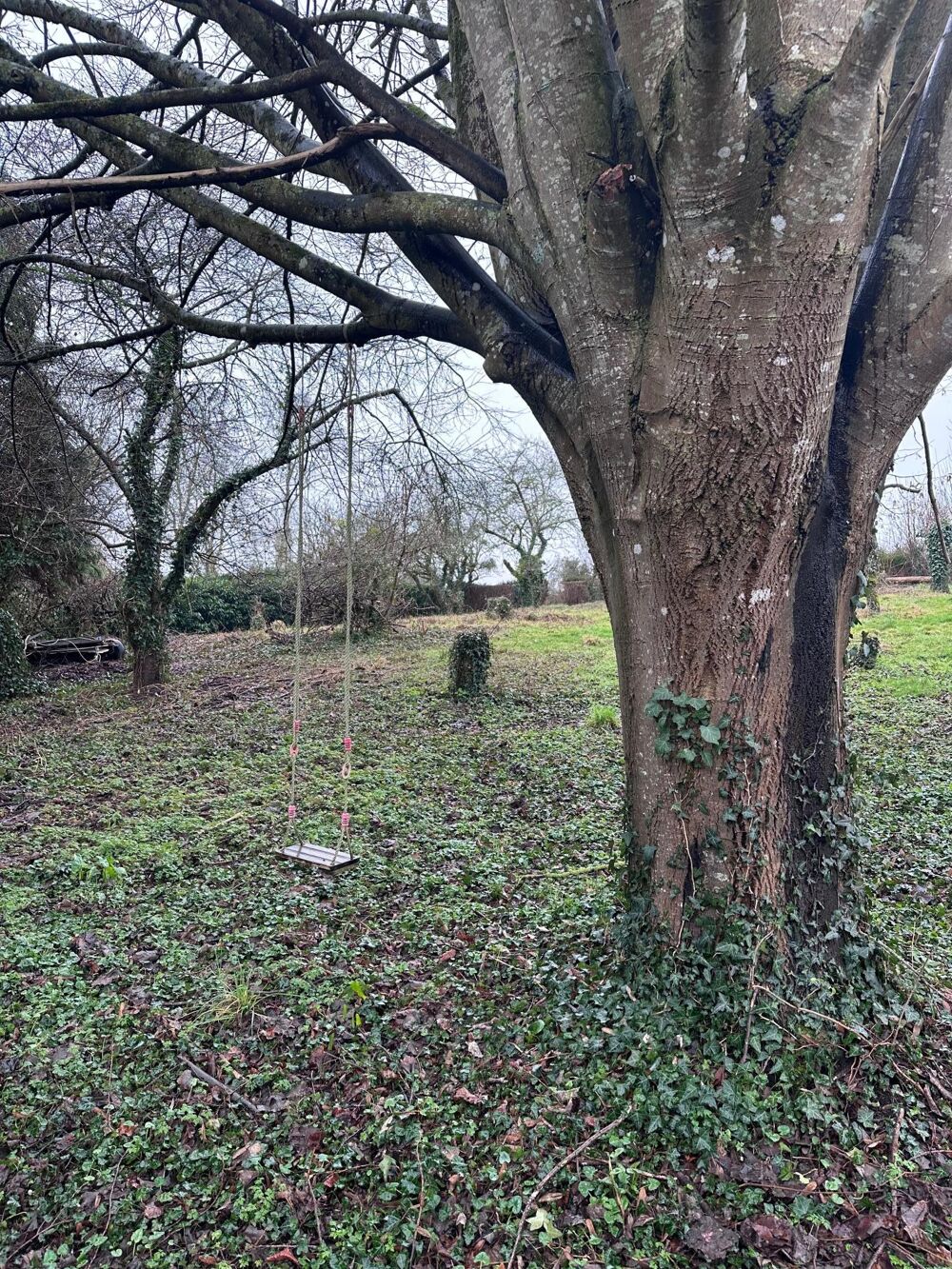 Vente Terrain Terrain de loisir le long des halages Chateau-gontier