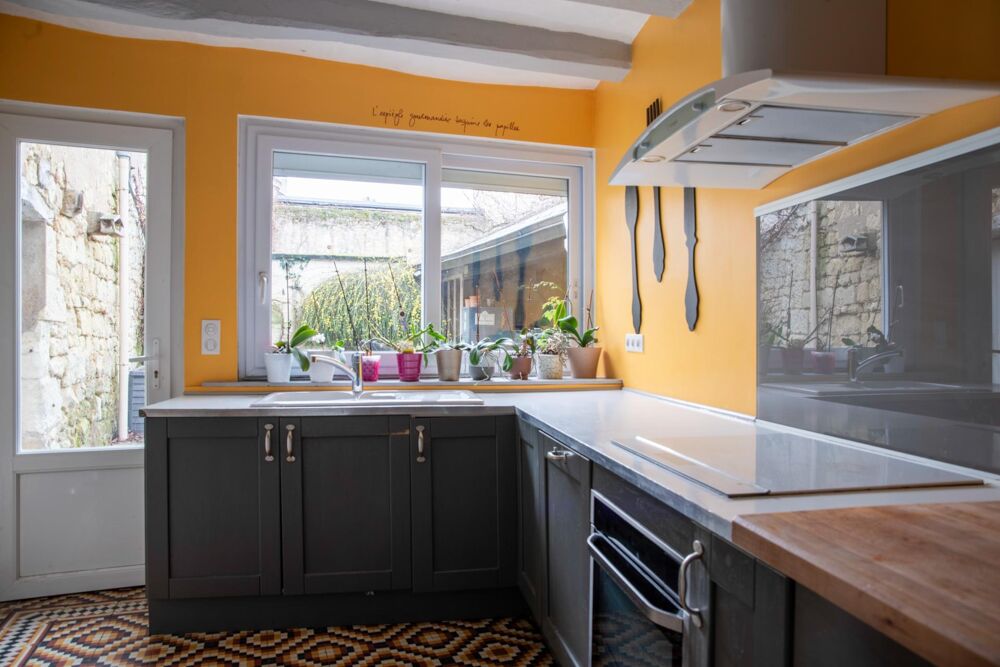 Vente Maison belle maison atypique en centre ville Bourgueil