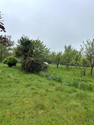  Terrain � vendre 1623 m�