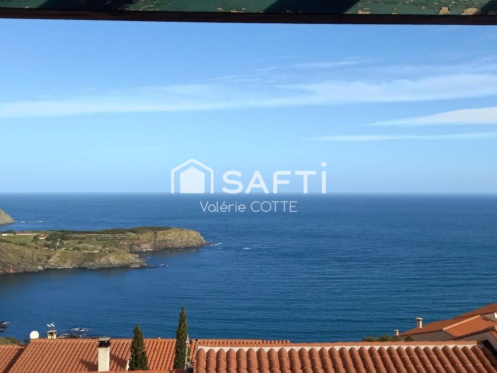 Vente Maison LA VUE SUR LA GRANDE BLEUE...SPACIEUX.....CHALEUREUX Cerbere