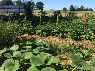  Terrain � vendre 3109 m�