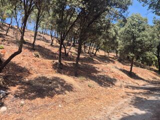Vente Terrain Terrains constructibles à Peyruis 618m2– Vue dégagée et multiples possibilités de construction Peyruis