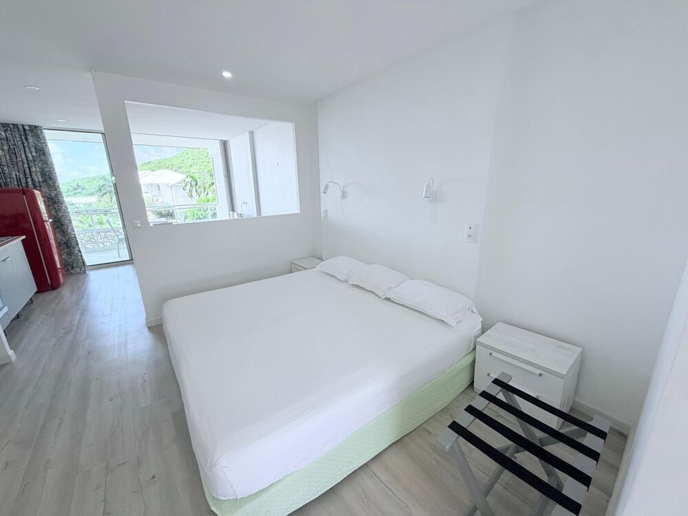 Vente Appartement Studio à Anse Marcel Saint-martin