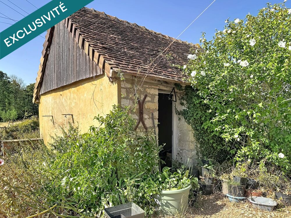 Vente Maison Maison avec grande dépendance en pierres sur 4 hectares - 72430 Chantenay- Villedieu Chantenay-villedieu