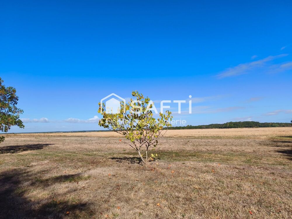 Vente Maison PROPRIETE AGRICOLE D'UN SEUL TENANT - LIBRE Paulnay