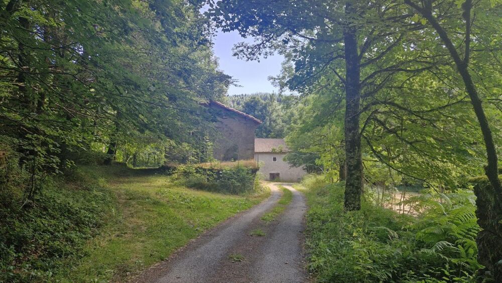 Vente Maison habitation et dépendances sur 6 hectares Le soulie