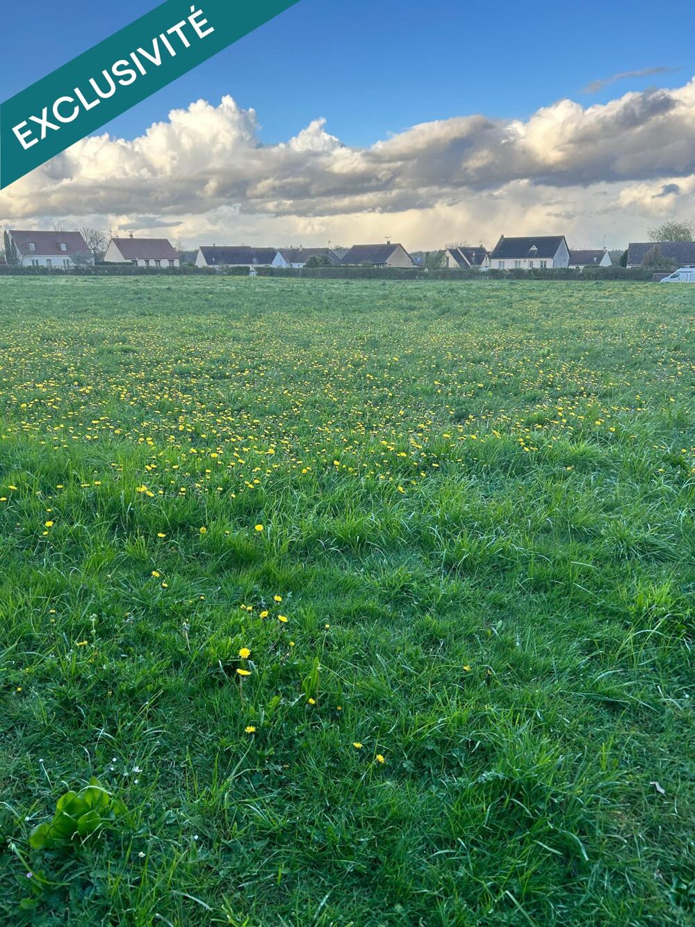 Vente Terrain Terrain constructible Asse-le-boisne
