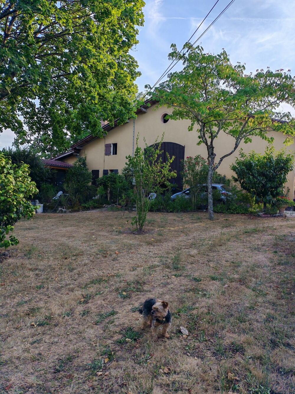 Vente Maison Vaste domaine Bazas