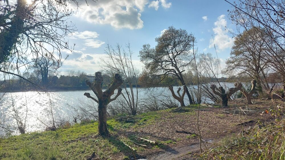 Vente Maison belle demeure en pierre Saint-emilion