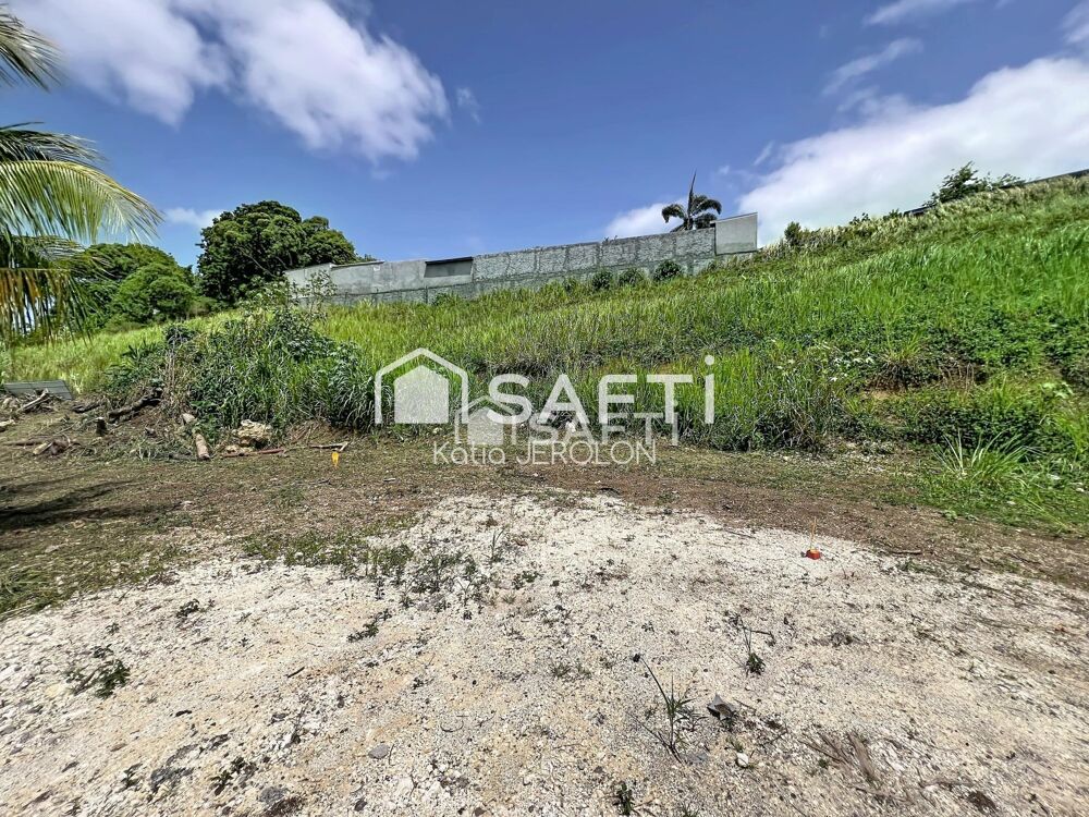 Vente Terrain 2 parcelles à vendre Les abymes