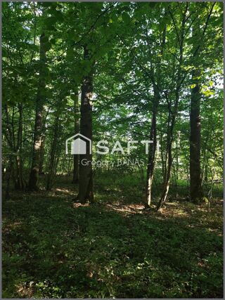  Terrain à vendre 360000 m²