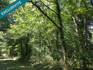  Terrain à vendre 44934 m²