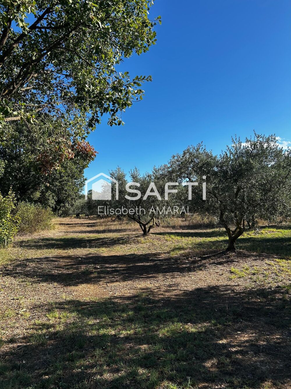 Vente Terrain À Oraison, laissez-vous séduire par cette oliveraie et sa magnifique vue sur la vallée de la Durance Oraison