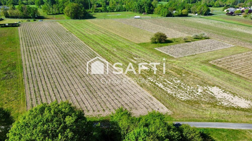 Vente Terrain Superbes parcelles avec vignes entretenues et terres agricoles Savigny-en-veron