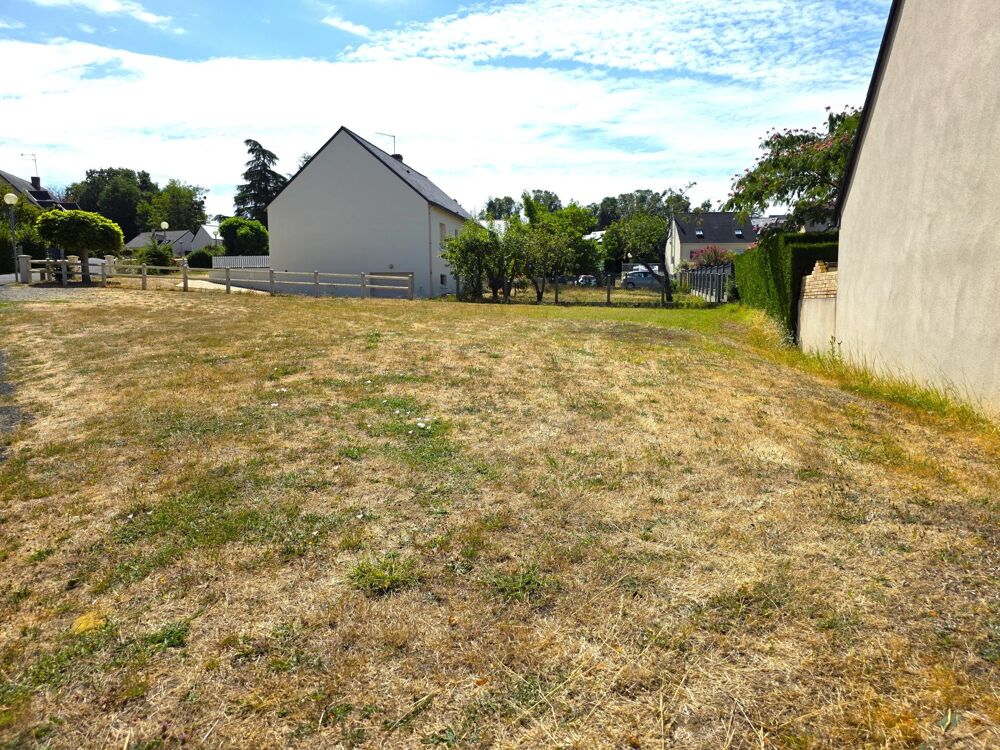 Vente Terrain Rare : Terrain à bâtir sur Baugé Centre ! Bauge-en-anjou