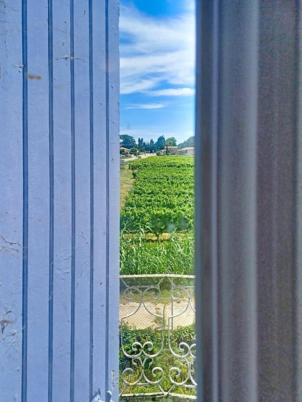 Propriété de caractère 366 m²  8 chambres  Vue sur les vignes  Fort potentiel touristique