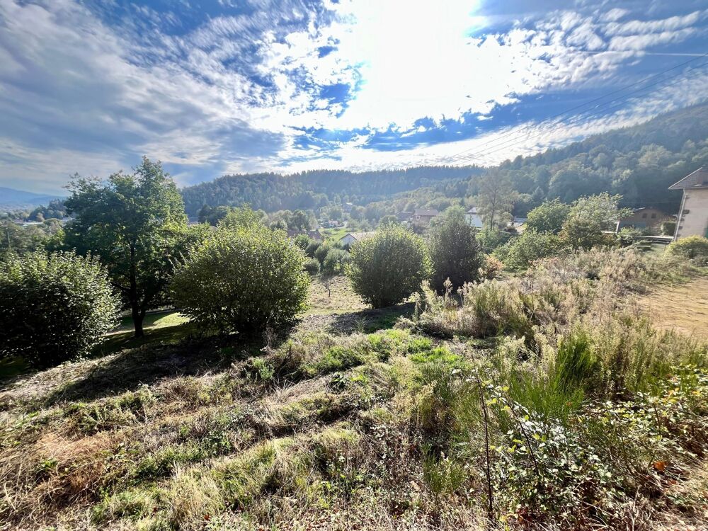 Vente Terrain Un écrin de verdure avec vue dégagée Saint-nabord