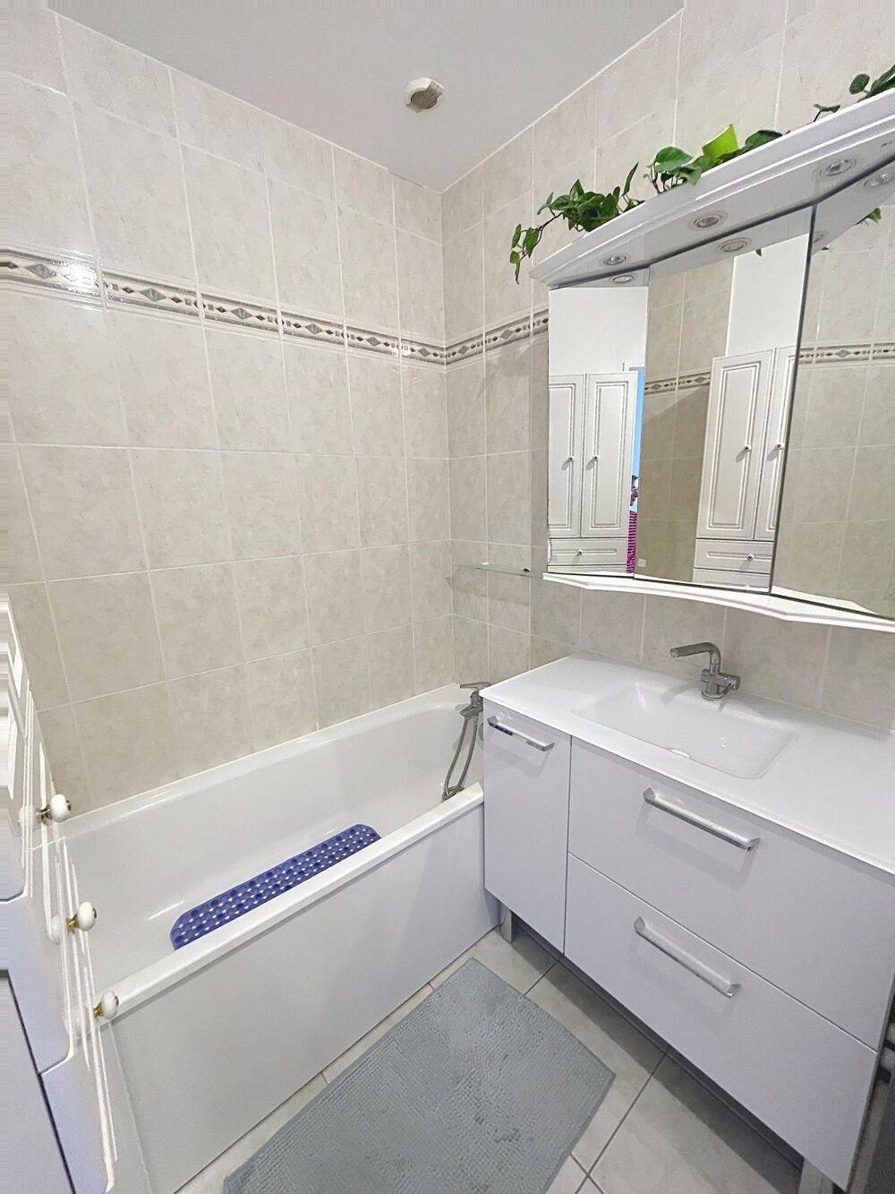Vente Maison MAISON DE VILLE AVEC VUE SUR LA SEINE Choisy-le-roi