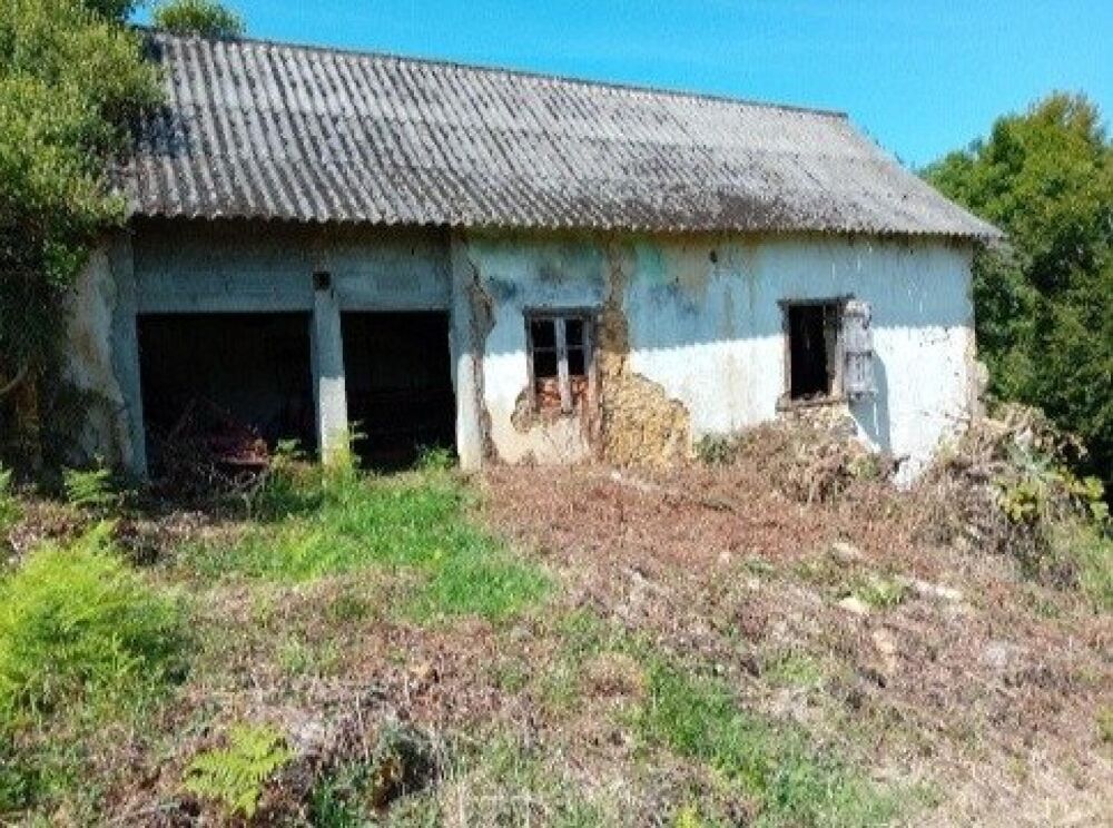 Vente Maison Maison en pierre à rénover vue Pyrénées 2ha Gan