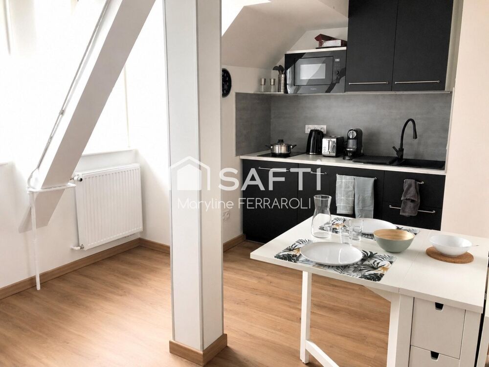 Location Appartement Studio équipée vue foret noire et péniches Strasbourg