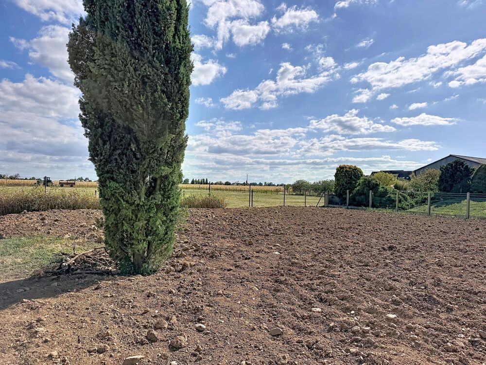 Vente Terrain Terrain constructible Bergholtz