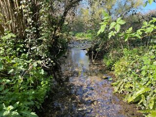  Maison  vendre 9 pices 300 m