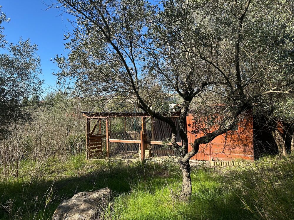 Vente Terrain Grand terrain avec vue – Pignan Pignan