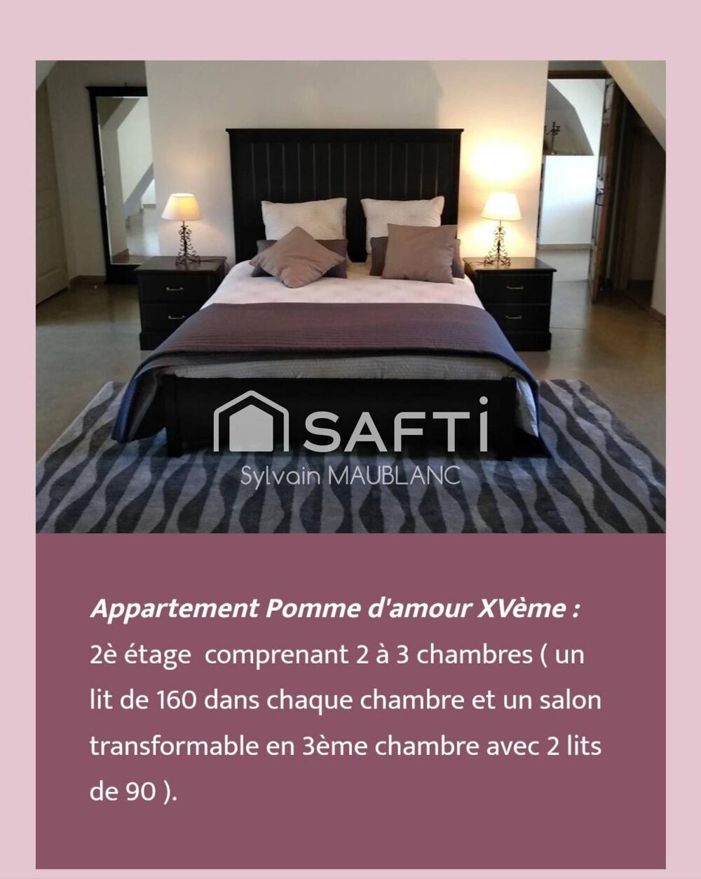� vendre  Propri�t�/ch�teau Sanssat (03150)