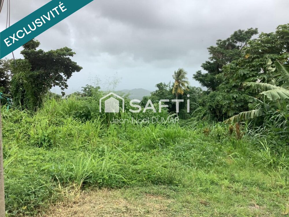 Vente Terrain Terrain en pente de 1410 m² Le francois