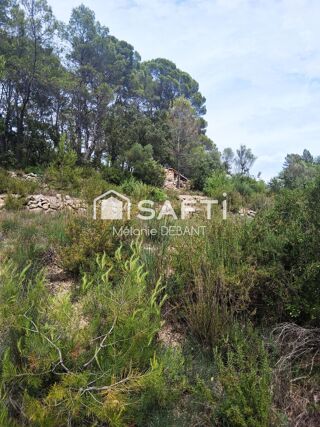  Terrain à vendre 61137 m²