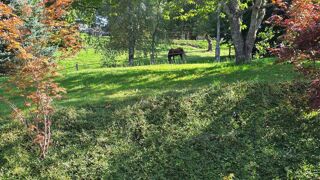  Maison � vendre 6 pi�ces 160 m�