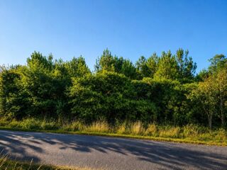  Terrain à vendre 9990 m²