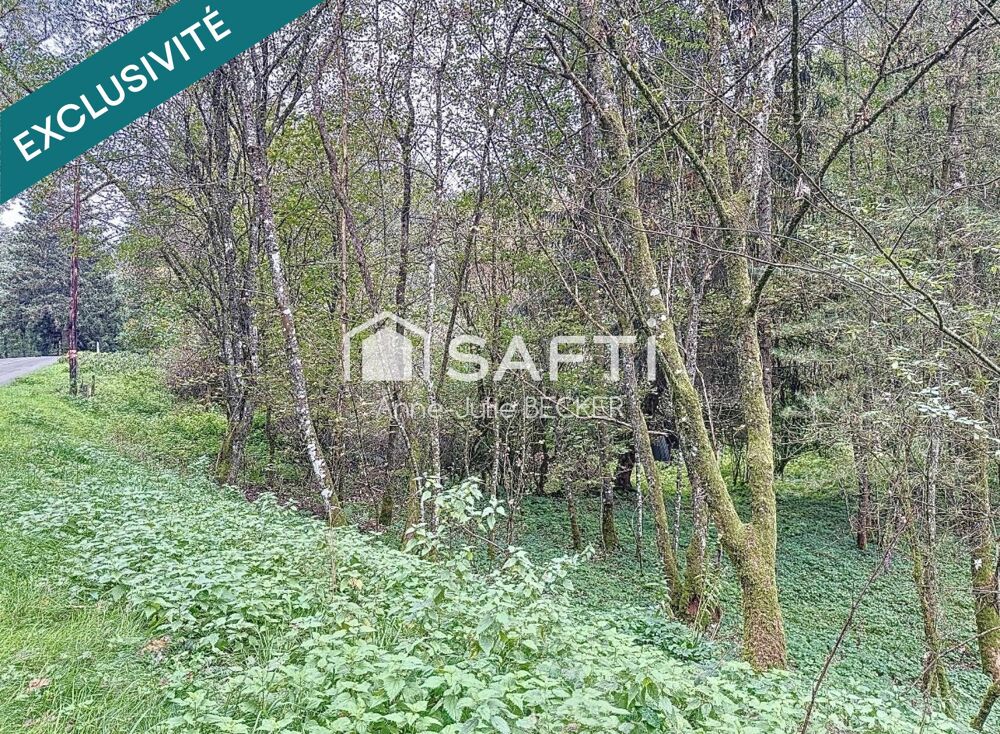 Vente Terrain Terrain de loisir Siersthal