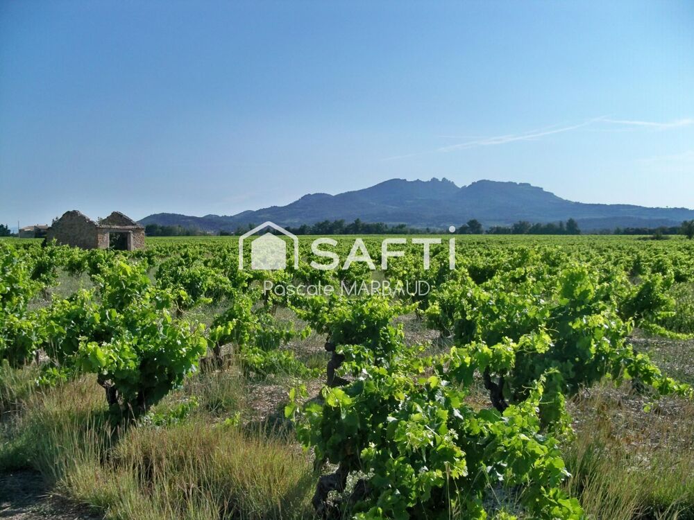 Vente Terrain Vignes Appelat Origine Protegée VACQUEYRAS 8800 m² Sarrians