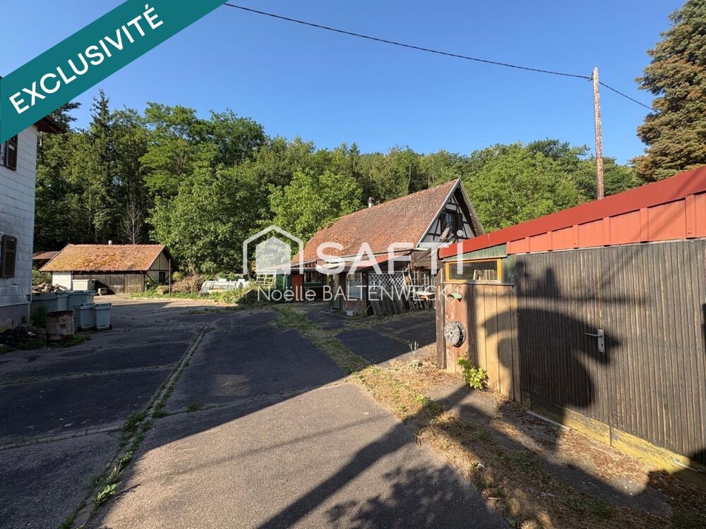 Vente Immeuble Ancien restaurant sur beau terrain face Haut-Koenigsbourg Chatenois